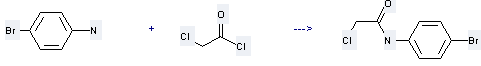 Preparation of Acetamide,N-(4-bromophenyl)-2-chloro: this chemical can be prepared by Chloroacetyl chloride and 4-Bromo-aniline.